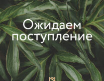 Ожидаем поступление