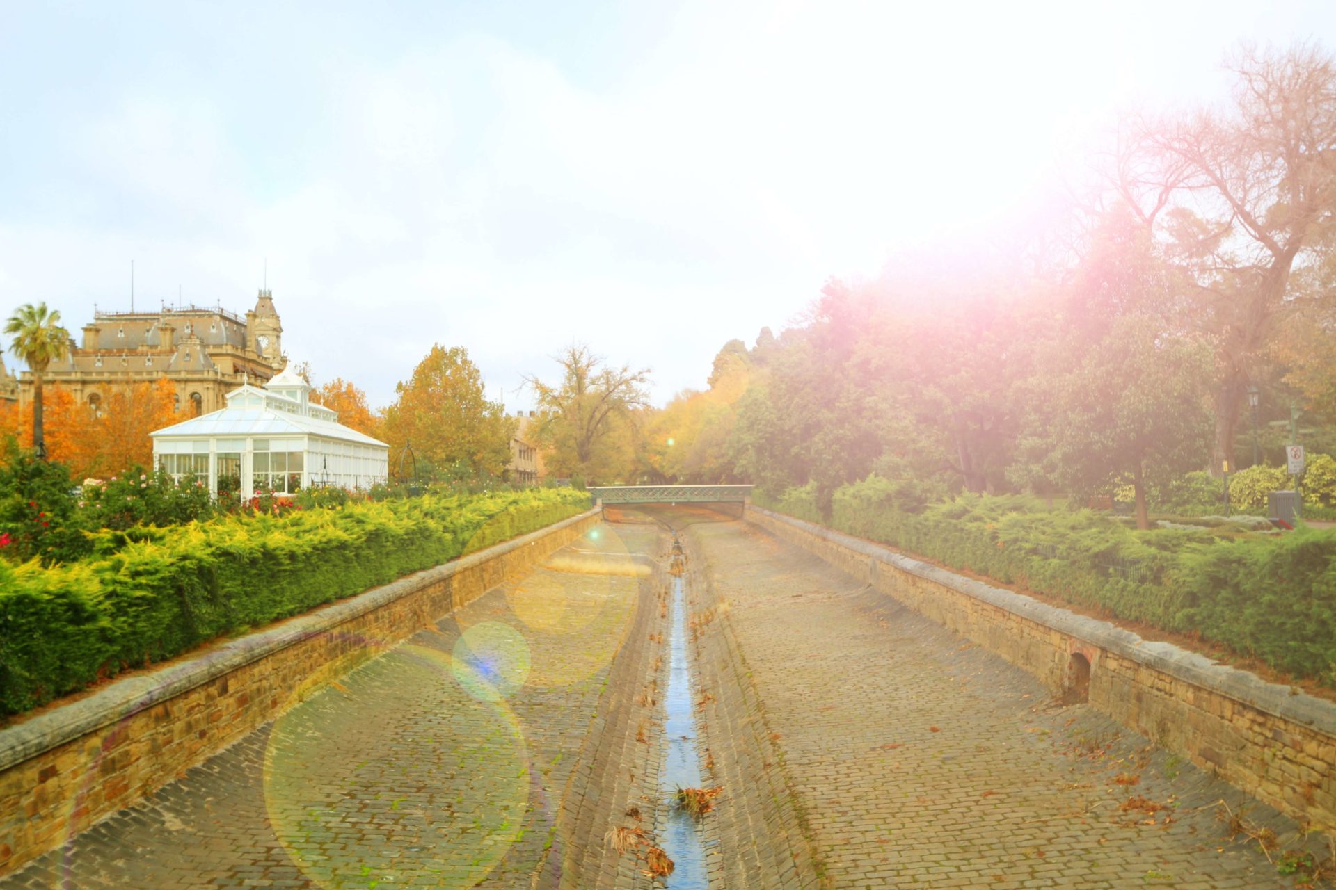 Дренаж участка