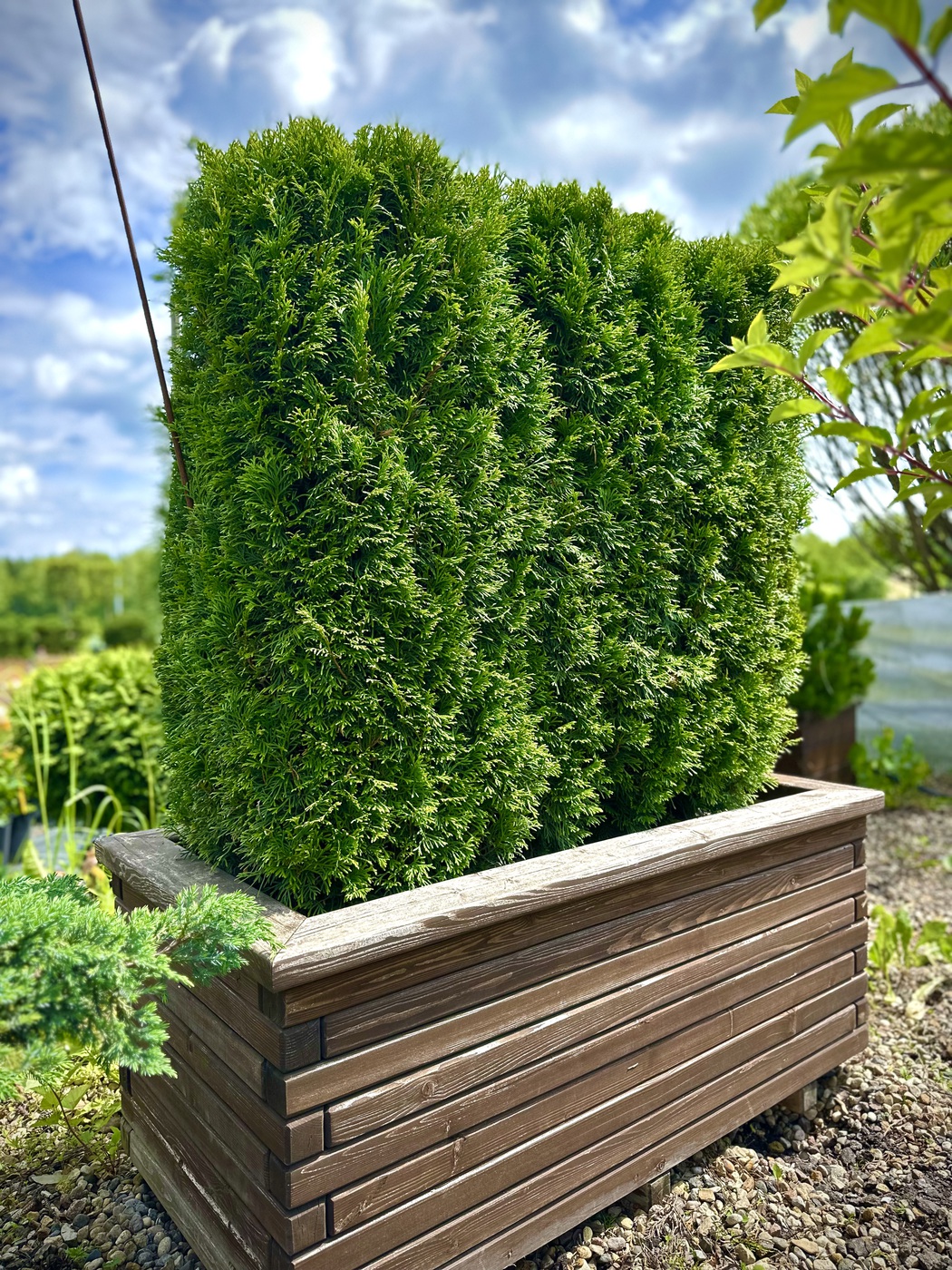 Блоки живой изгороди