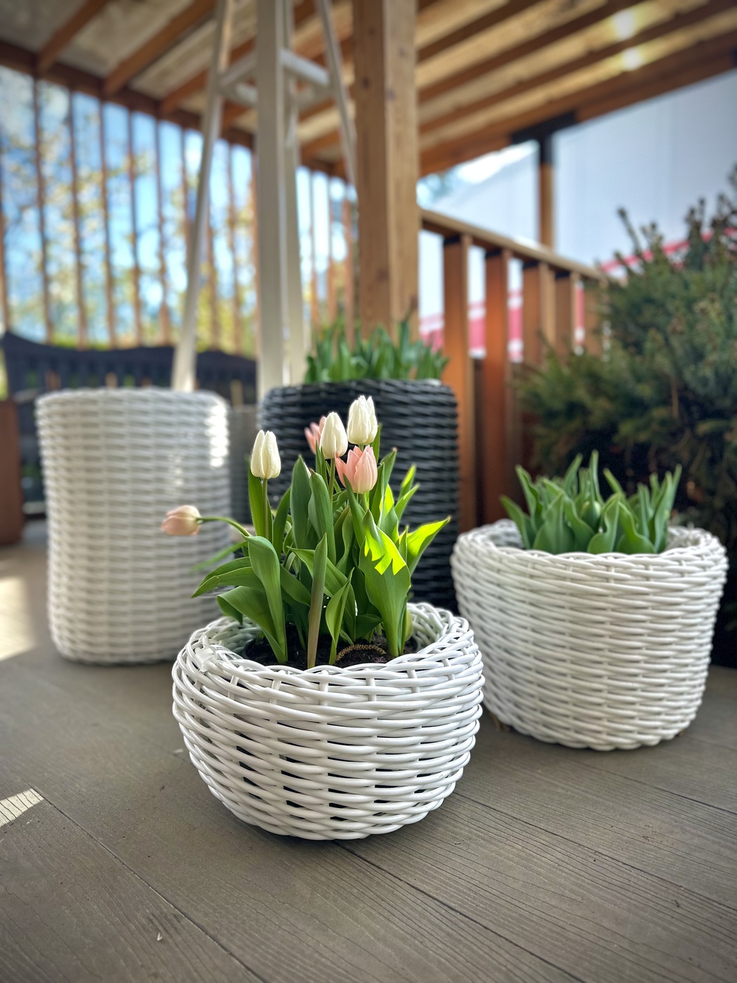 Товары для сада