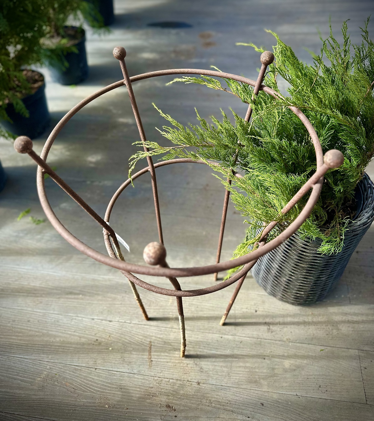 Опора для растений Двухкольцовая H90 D55-40