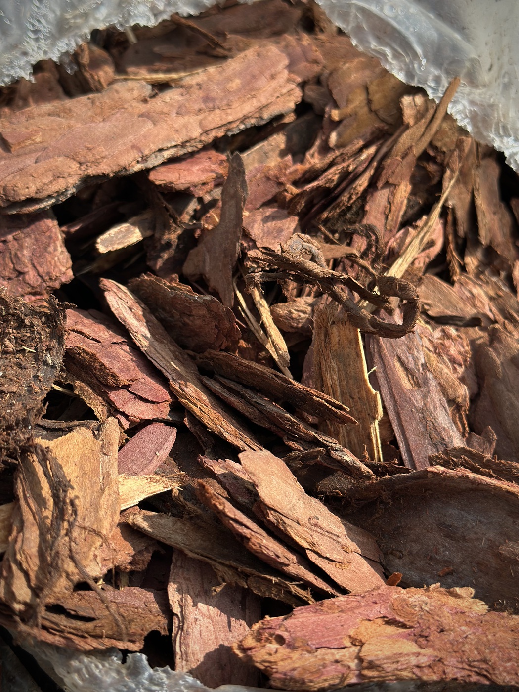 Кора сибирской лиственницы средняя (4-6 см) 60 л