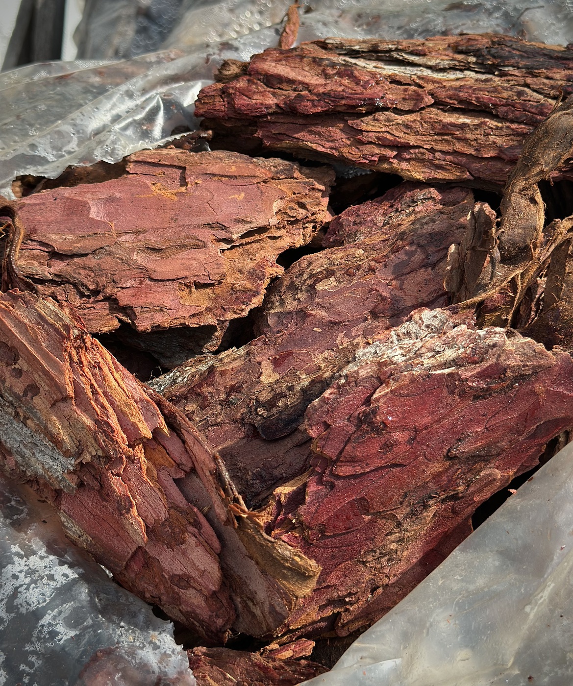 Кора сибирской лиственницы крупная (6-10 см) 60 л