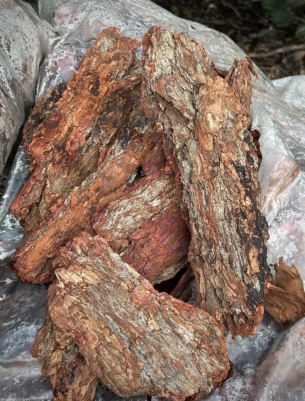 Кора сибирской лиственницы супер крупная (10-20 см) 60 л