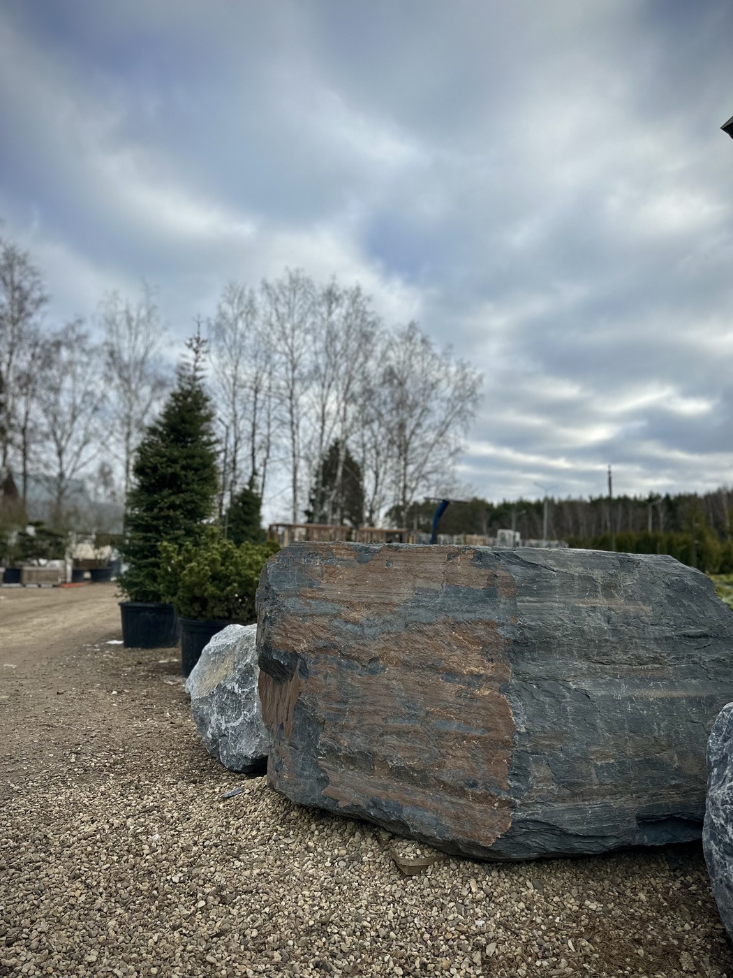 ✿Валун-кашпо милонит