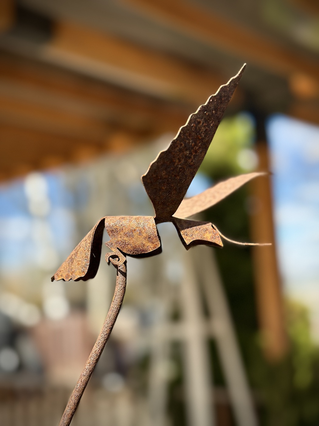 ★Арт-объект Колибри