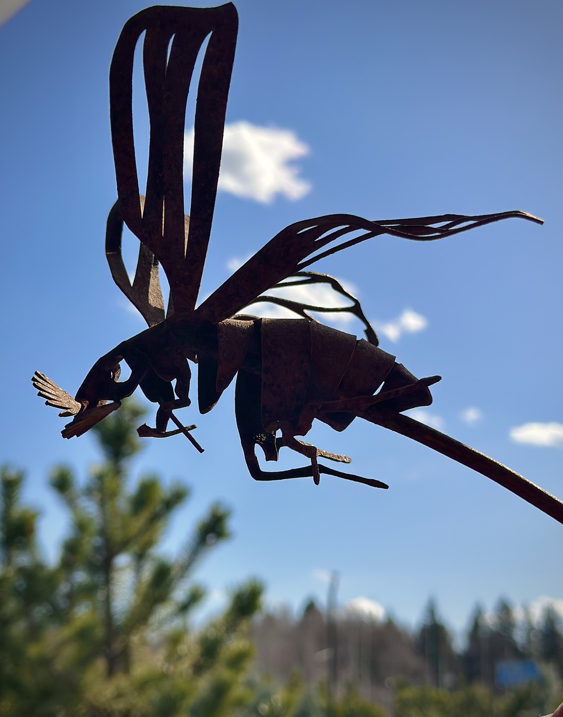 ★Арт-объект Майский жук