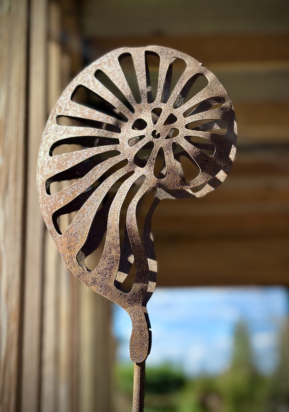 ★Арт-объект Наутилус